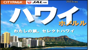 シティツアーズ企画