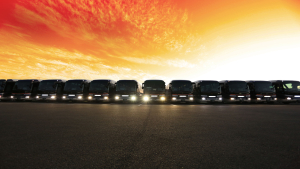 ジョイフル観光6